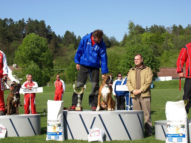 www.atibox.net * www.euroboxer.eu * www.boxergenealogia.eu